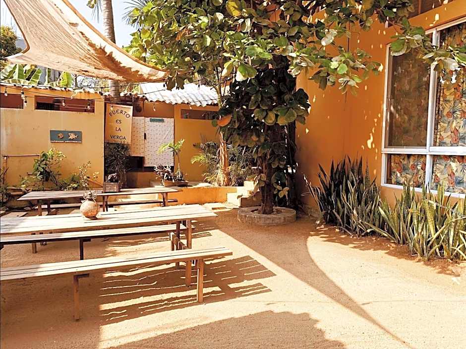 La Palmera Hostel