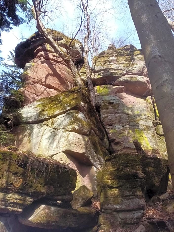 Apartmán Starý Mlyn