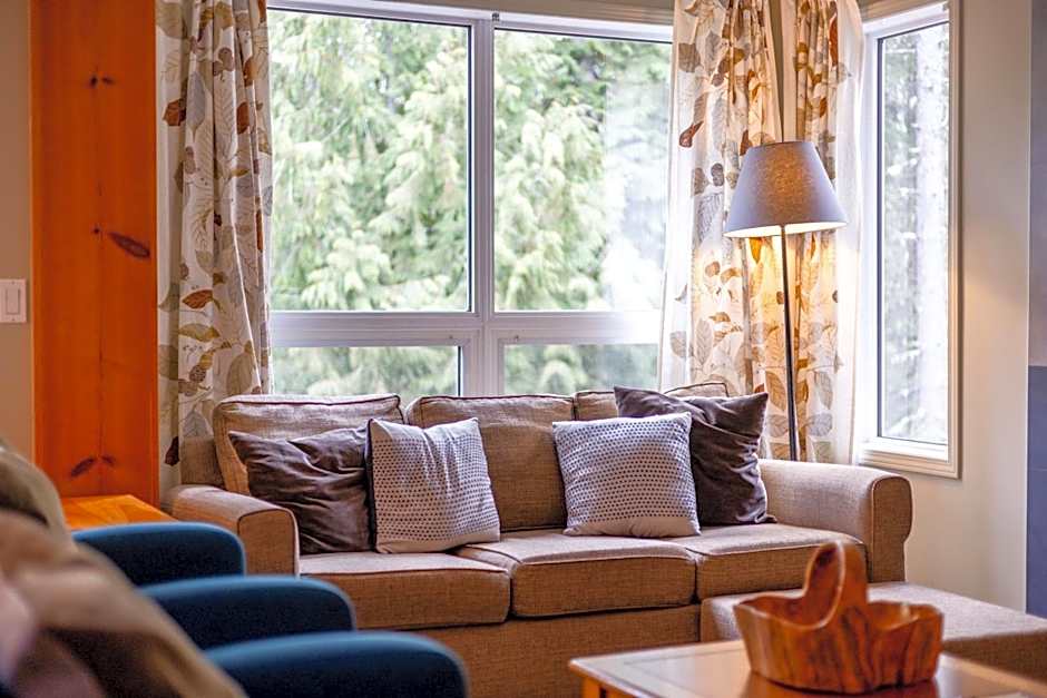 Ski In & 15 Minute Walk to the Lifts Hot Tub AC Pet Friendly