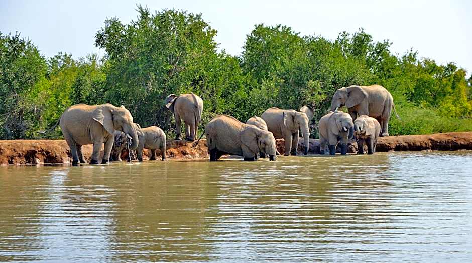 Black Rhino Game Lodge