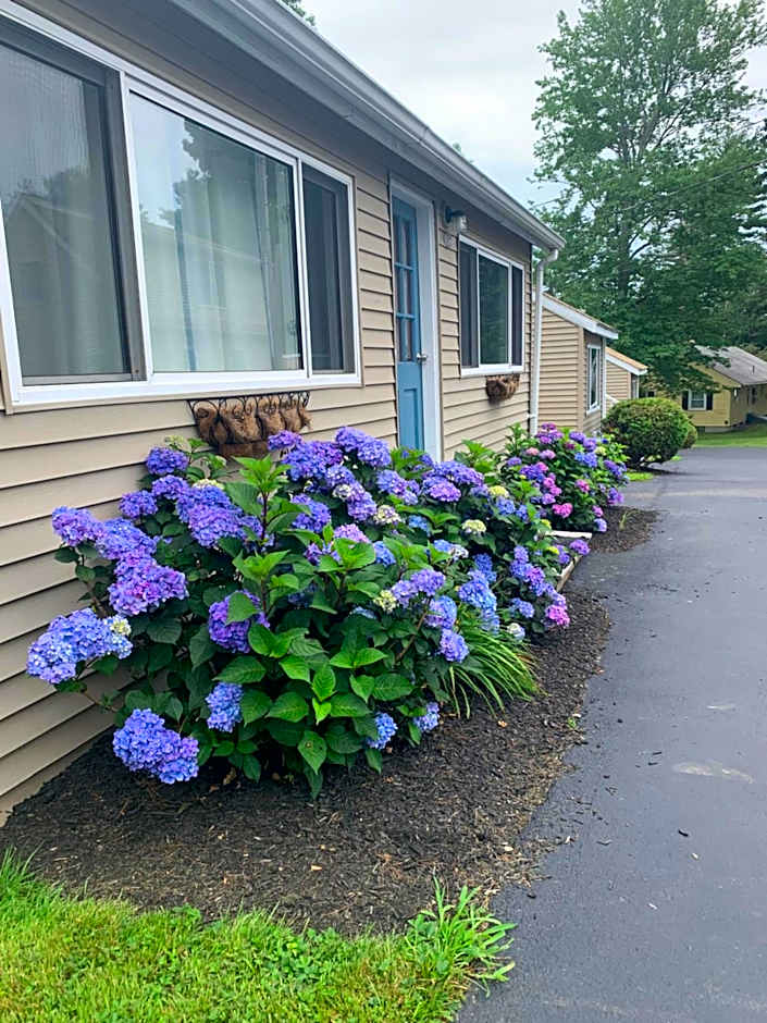 Northeaster Motel