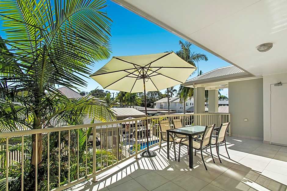 Noosa River Palms