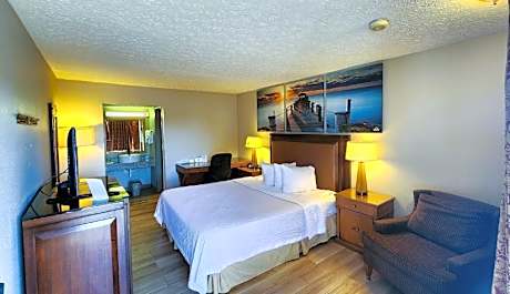 1 King Bed Non-Smoking