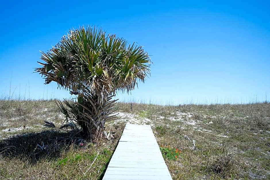 Elizabeth Pointe Lodge