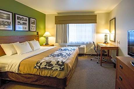 1 Bedroom Suite