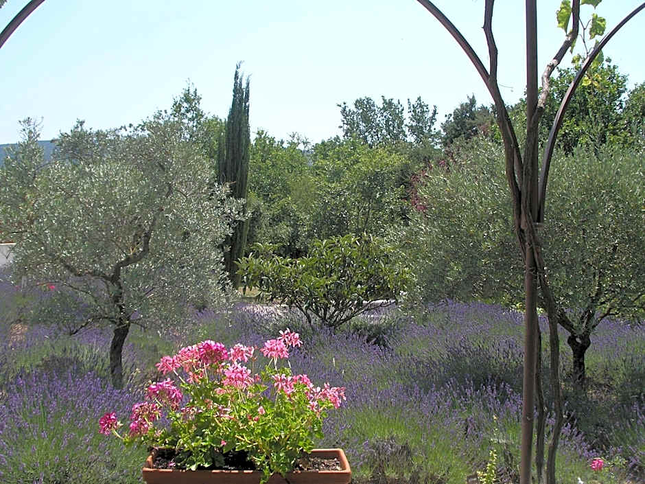 Clos des Lavandes - Chambres et Suites de charme climatisées-Luberon