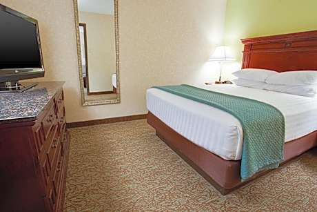 1 King Bed Accessible with Tub