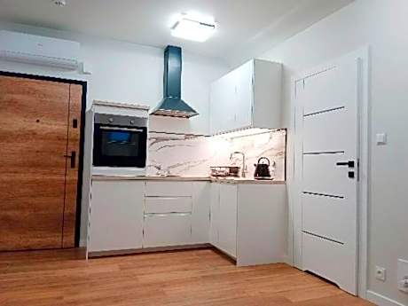 Penthouse Apartment
