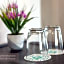 Evergreen Suite Hotel