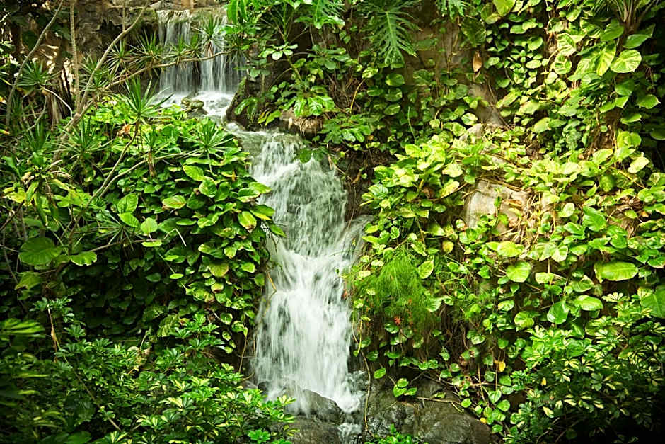 Adrián Hoteles Jardines de Nivaria