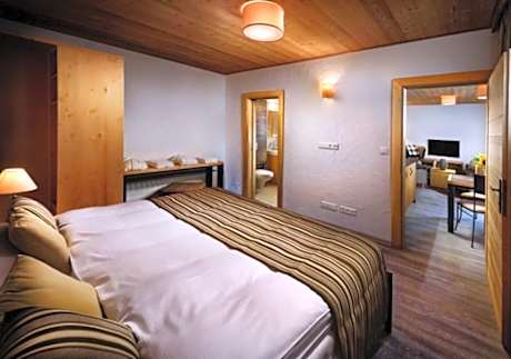 One-Bedroom Mountain Apartment