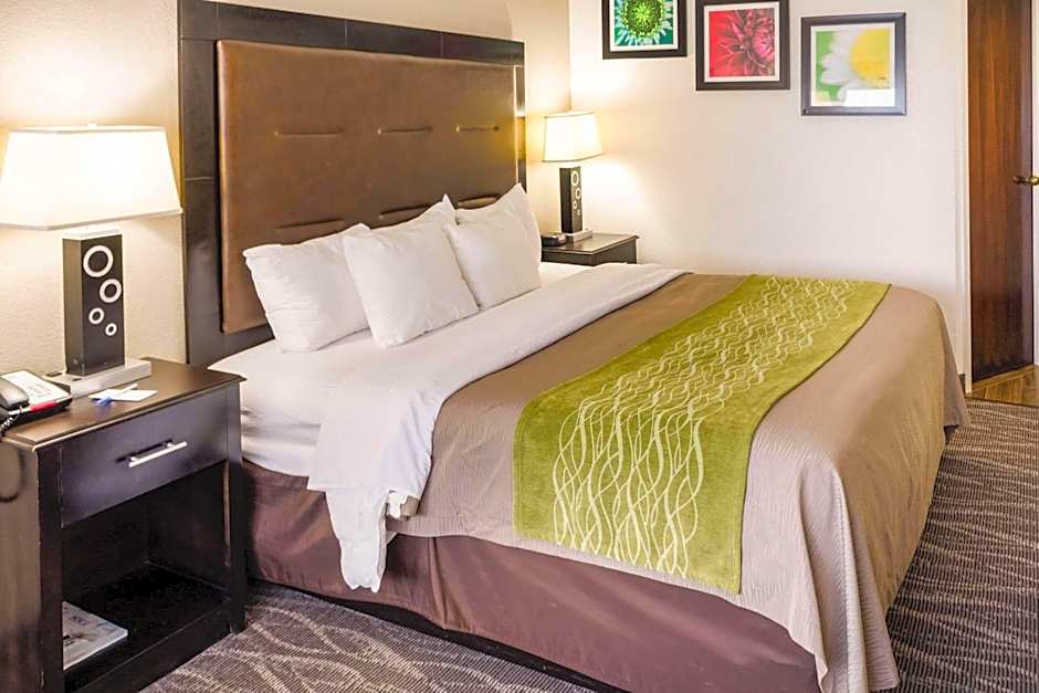 Comfort Inn Downtown Charleston