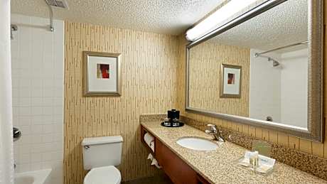 2 Double Standard Communications Accessible