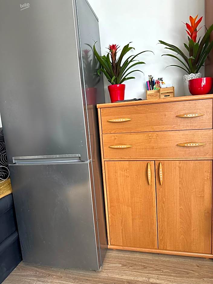 Radiant BD Wejscie na kod