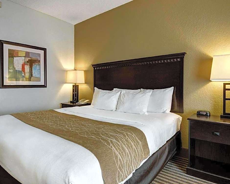 Comfort Inn & Suites Hot Springs Midtown