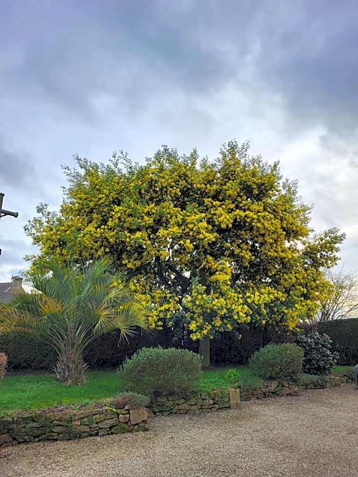 Clos St Ange (Dinan-St Malo)