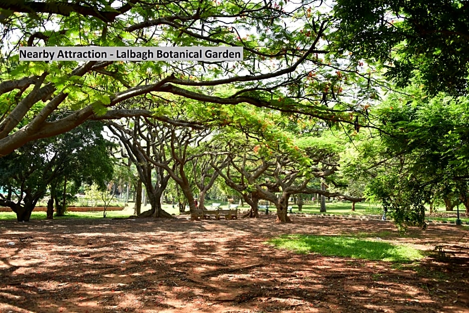 Hotel O Blue Inn Near Jayadeva Hospital