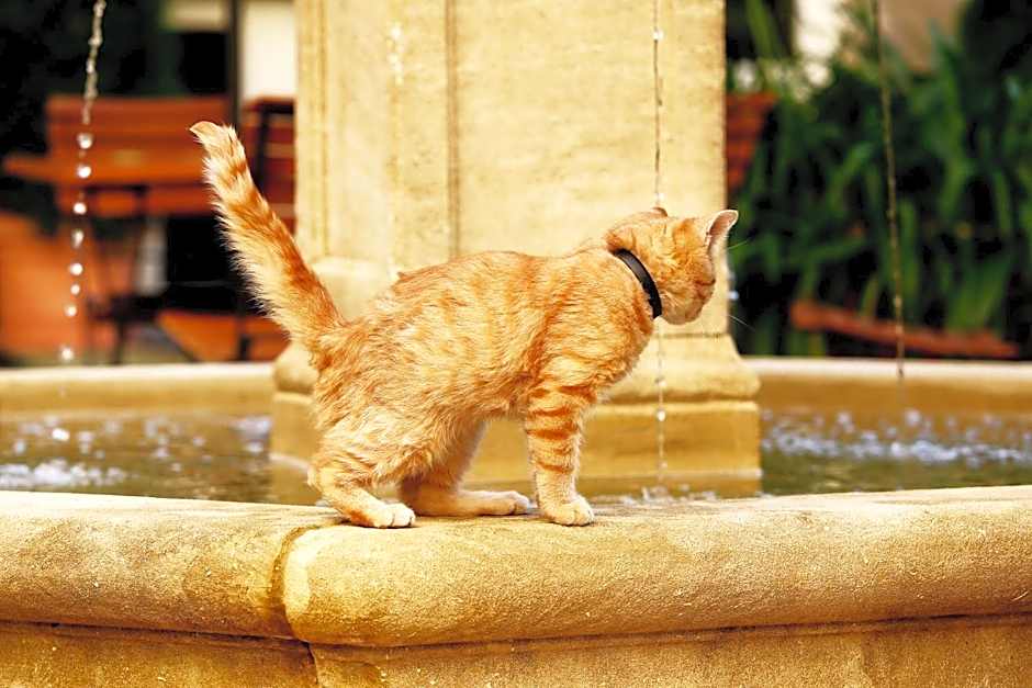 Garden Living - Boutique Hotel