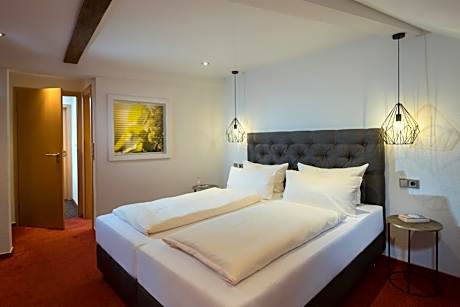 Comfort Double Room with River View