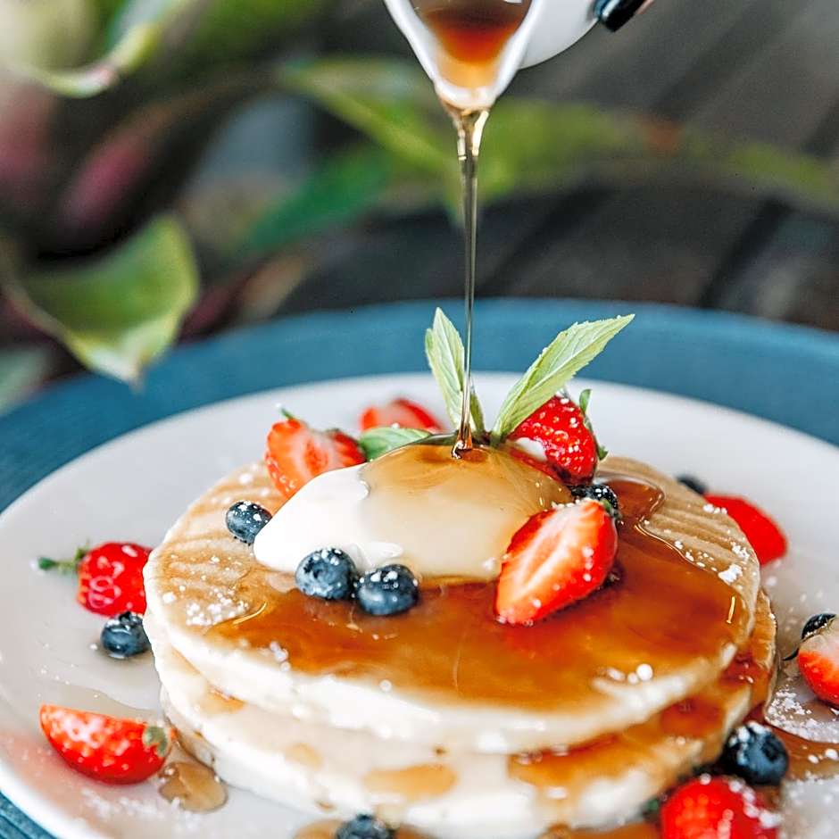 Narrabeen Sands Hotel by Nightcap Plus