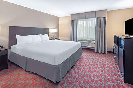 King Room with Mobility Access and Bathtub with Grab Bars, Non-Smoking