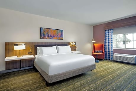 1 KNG 1 BDRM STE MOBILITY ACCESS W/RI SHWR