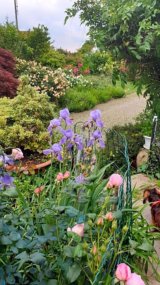 B&B Villa Giardini Susanna