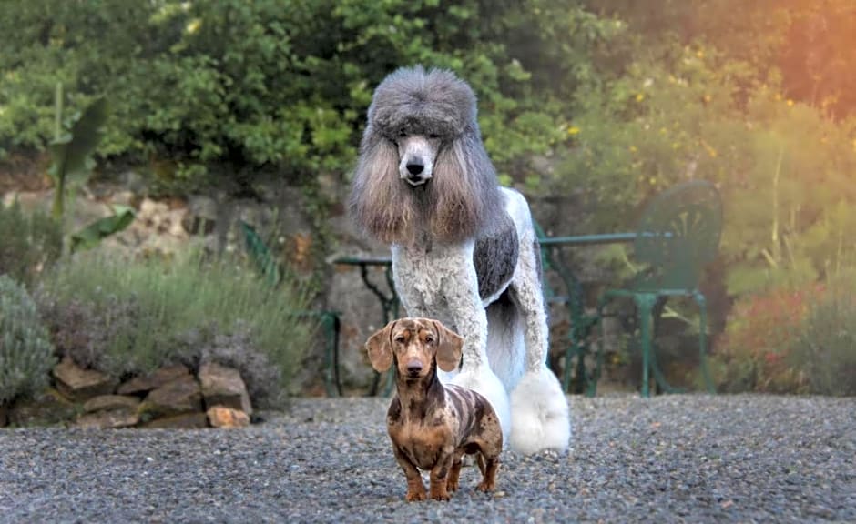 Maison Hirondelles Hôtes