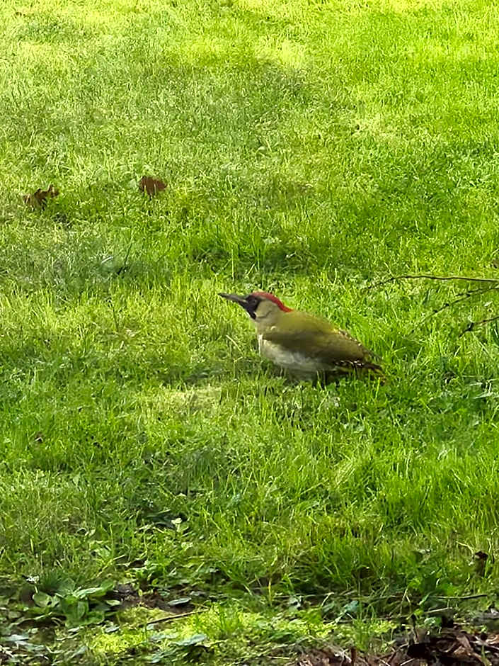 Gîte "Au Gré de l'Adour"