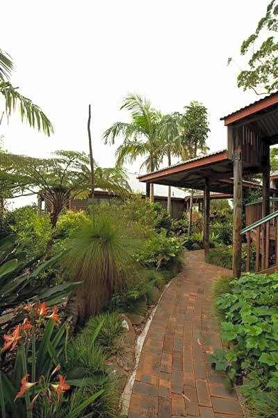 Tamborine Mountain Bed & Breakfast