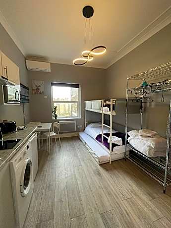 Studio - Pet-Friendly