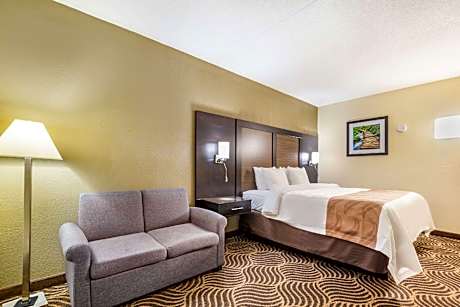 1 King Bed, Suite, Nonsmoking
