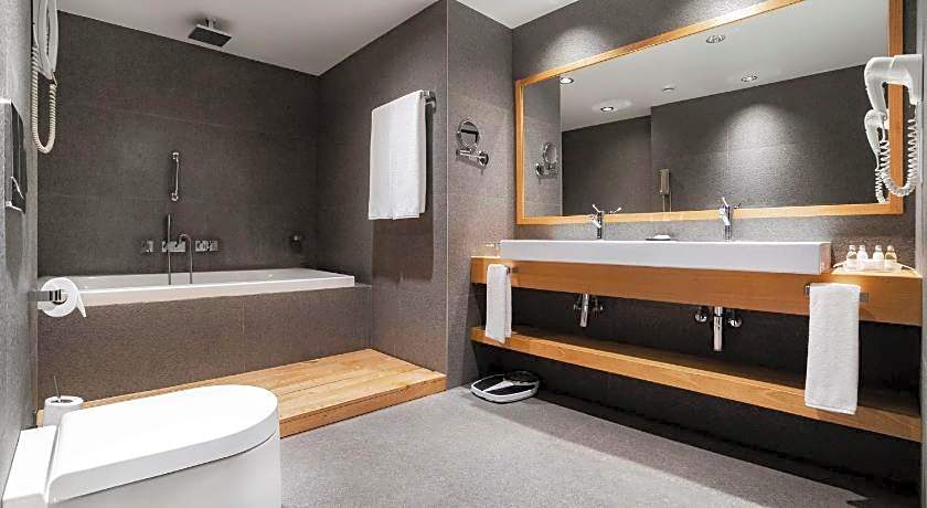 Holiday Inn Tbilisi By IHG