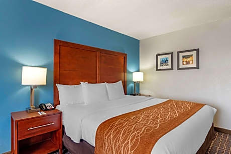 King Suite with Sofa Bed - Non-Smoking