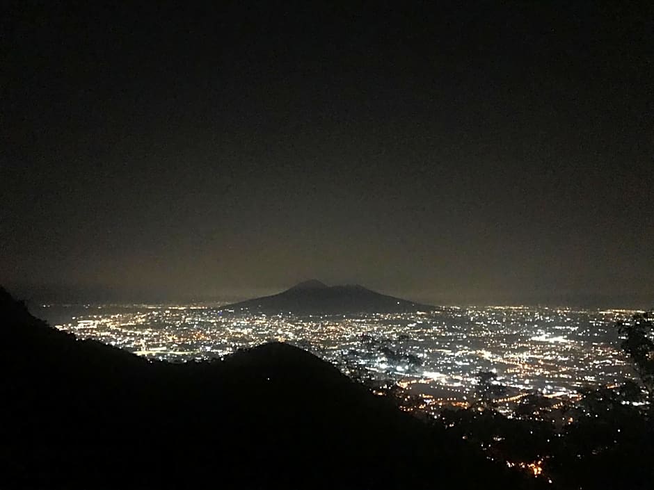 International Naples