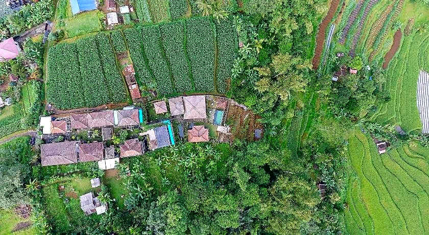 Pondok Nyoman Bedugul