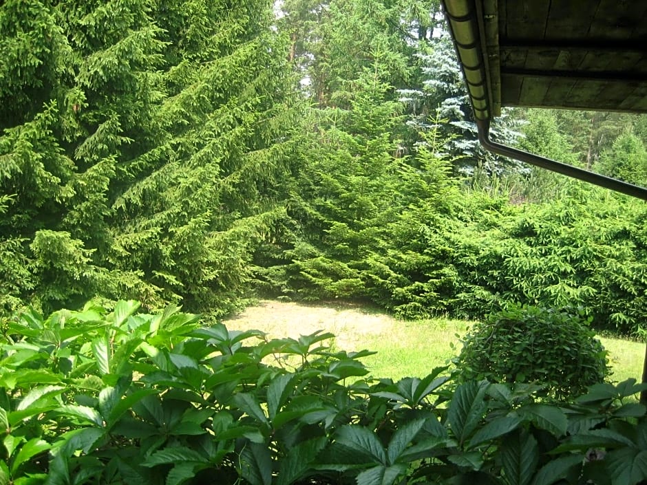 Dom letniskowy POŚRÓD KASZUBSKIEGO LASU