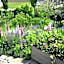 Olde Mill House Bed & Breakfast and Cycle Hire