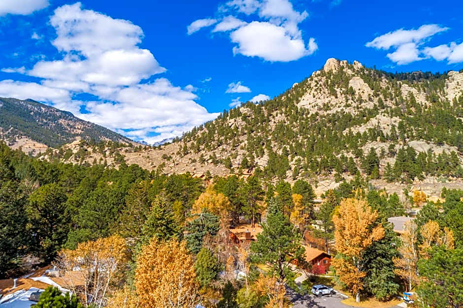 Streamside on Fall River