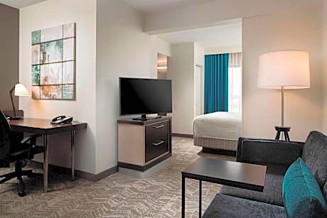 Suite, 1 King Bed with Sofa bed (Mobility/Hearing Access, Roll-In Shwr)