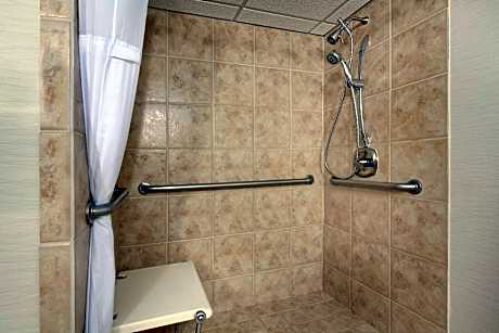 1 King Deluxe Suite Accessible Roll in Shower Non-Smoking