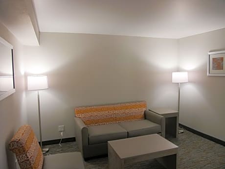 One-Bedroom King Suite - Non-Smoking