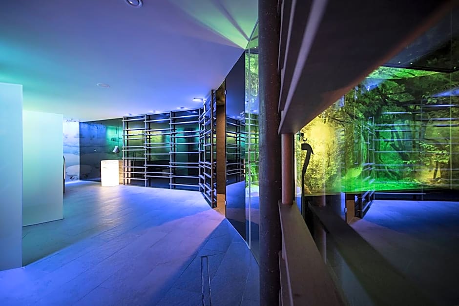 SPA & Relax Hotel Erika