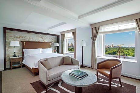 Park View Room, Guest room, 1 King, Central Park view, Low floor