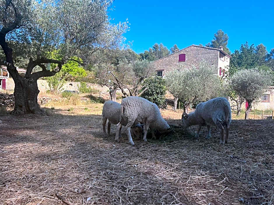 Gîtes Mas des rochers - Case bambou avec Spa