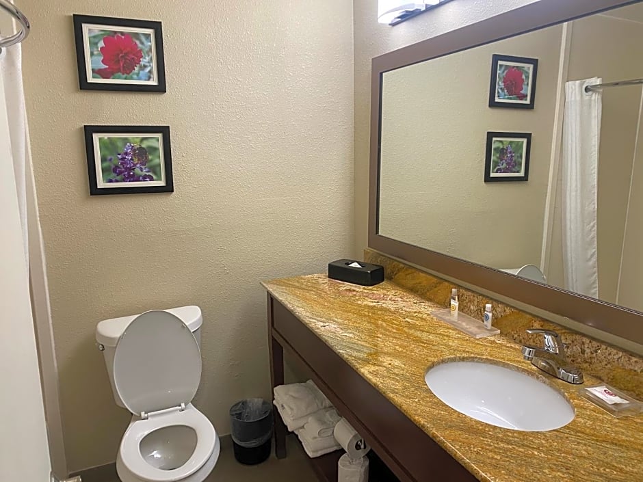 Comfort Inn & Suites Temple