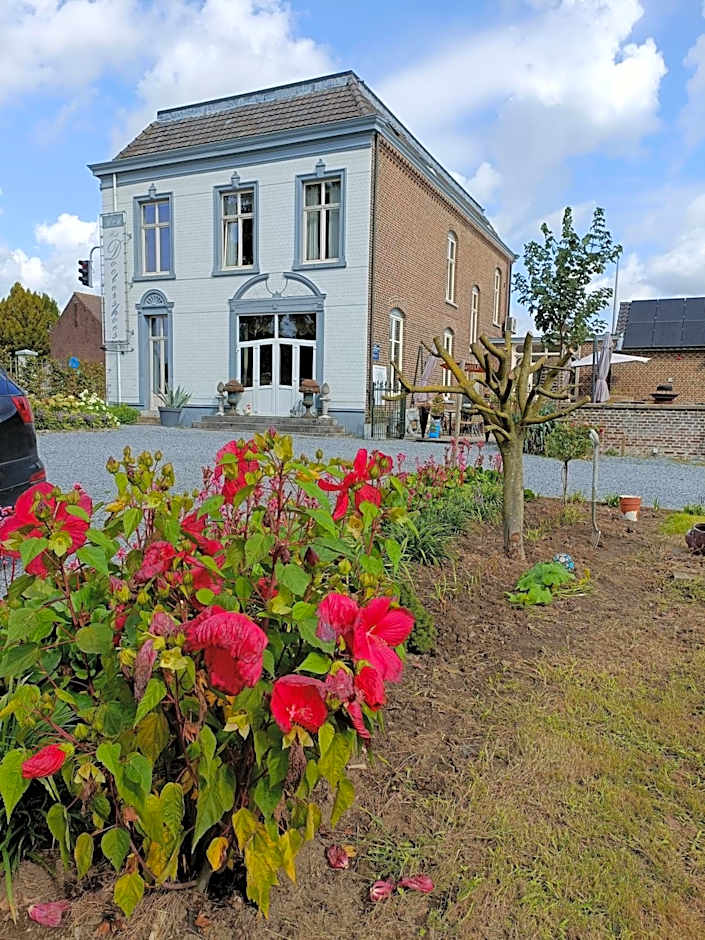 B&B Het Doctershoes