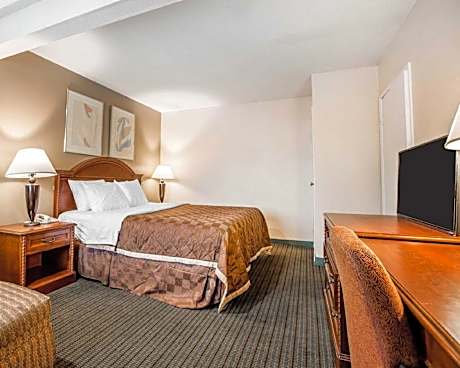 1 King Bed, Nonsmoking