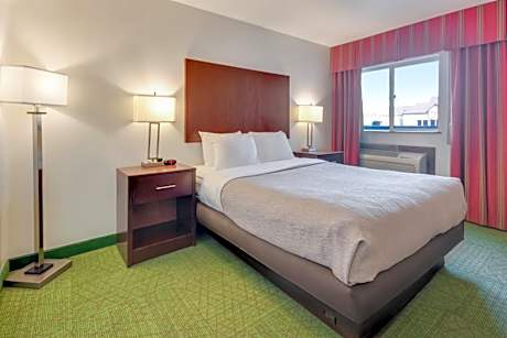 Queen Room with Roll-In Shower - Accessible/Non-Smoking