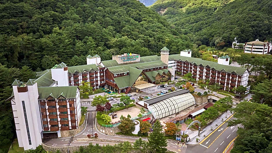 Osaek Greenyard Hotel